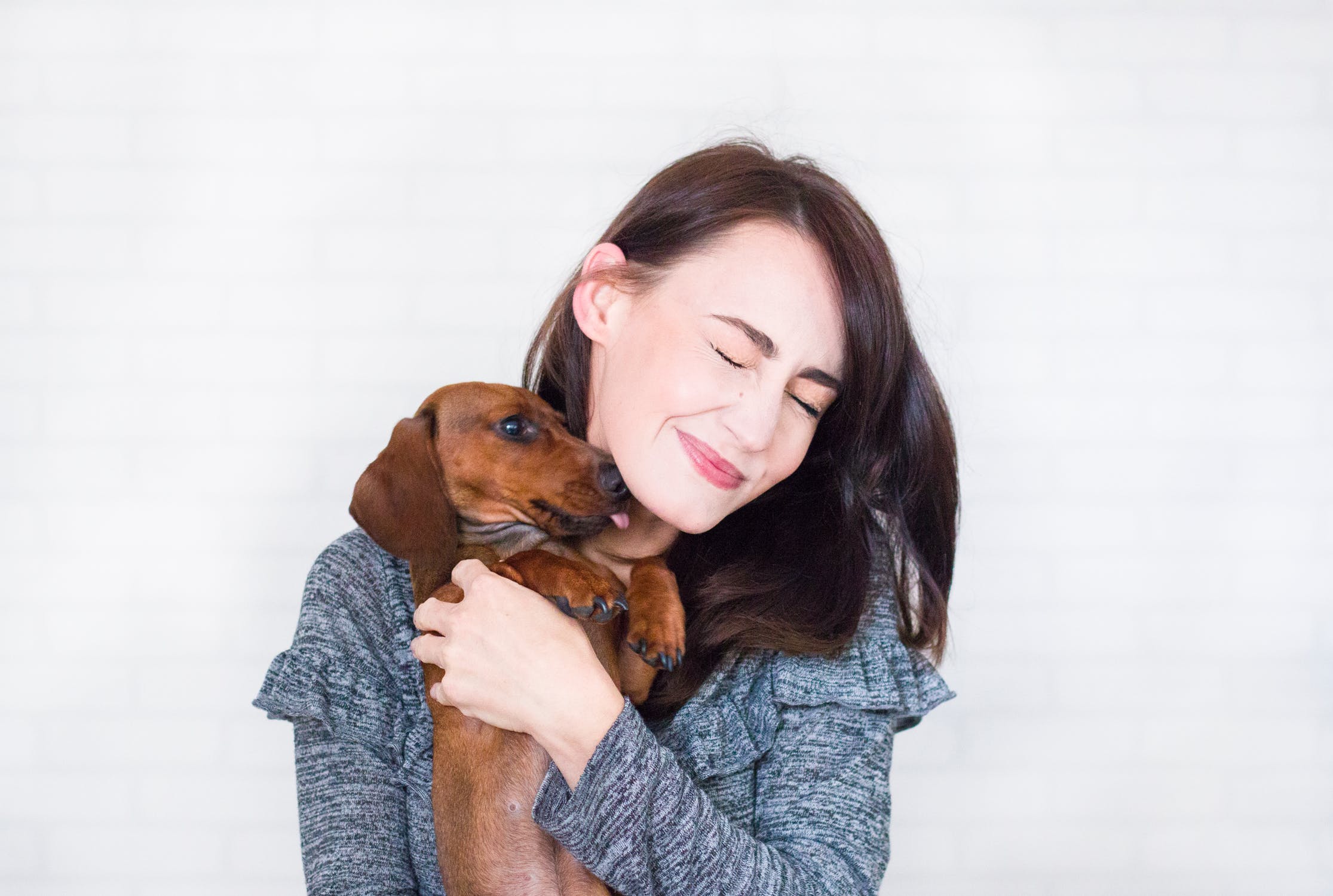 Buying A Dog – A 2019 Guide For Teens
